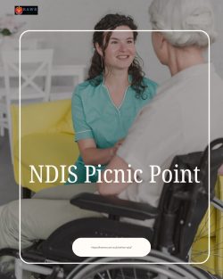 NDIS Picnic Point