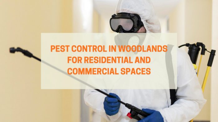 Pest Control in Woodlands for Residential and Commercial Spaces