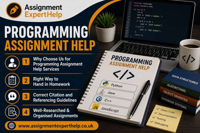Turn Coding Challenges into Academic Success with Expert Programming Support