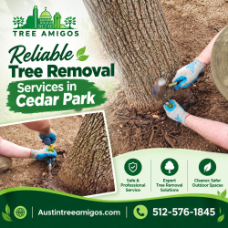 Reliable Tree Removal Services in Cedar Park