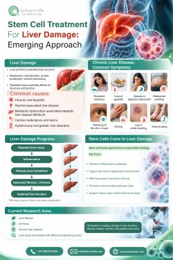 Stem Cell Treatment for Liver Damage: Emerging Approach