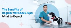 Vet Near Me | CGS Hospital