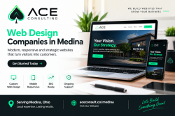 Web Design Companies Medina | Ace Consulting