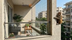 Anti-Monkey Net for Balconies, Windows and Terraces | Netskart