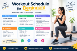 Beginner Workout Plan: Build Strength, Boost Fitness, and Stay Active