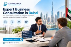 Expert Business Consultation in Dubai