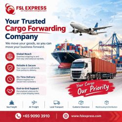 Trusted Cargo Forwarding Company for Reliable Global Shipping