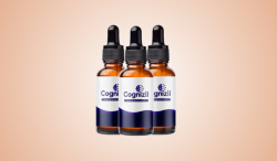 https://sites.google.com/view/cognizil-review/home