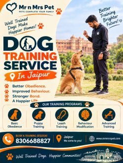 Dog Training Service in Jaipur