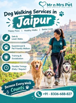Dog Walking Services in Jaipur