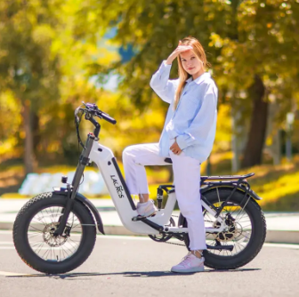 Choosing an e-bike battery fireproof box
