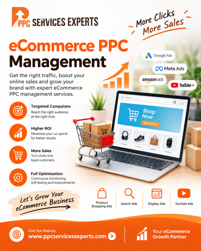 Expert Ecommerce PPC Management for Online Stores