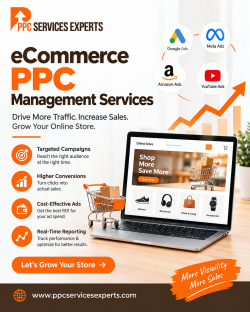 Expert Advertising Solutions for Ecommerce PPC Management Services