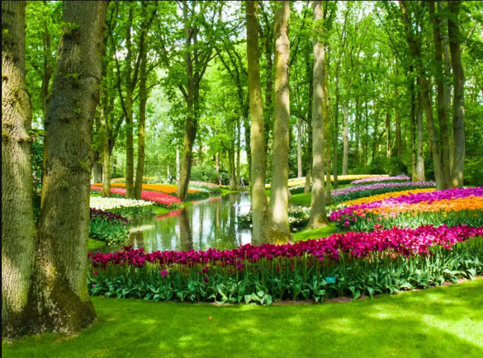 Turf Installation Sydney: How Gardening Services Improve Your Lawn