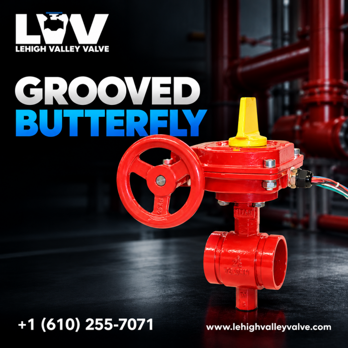 Grooved Butterfly