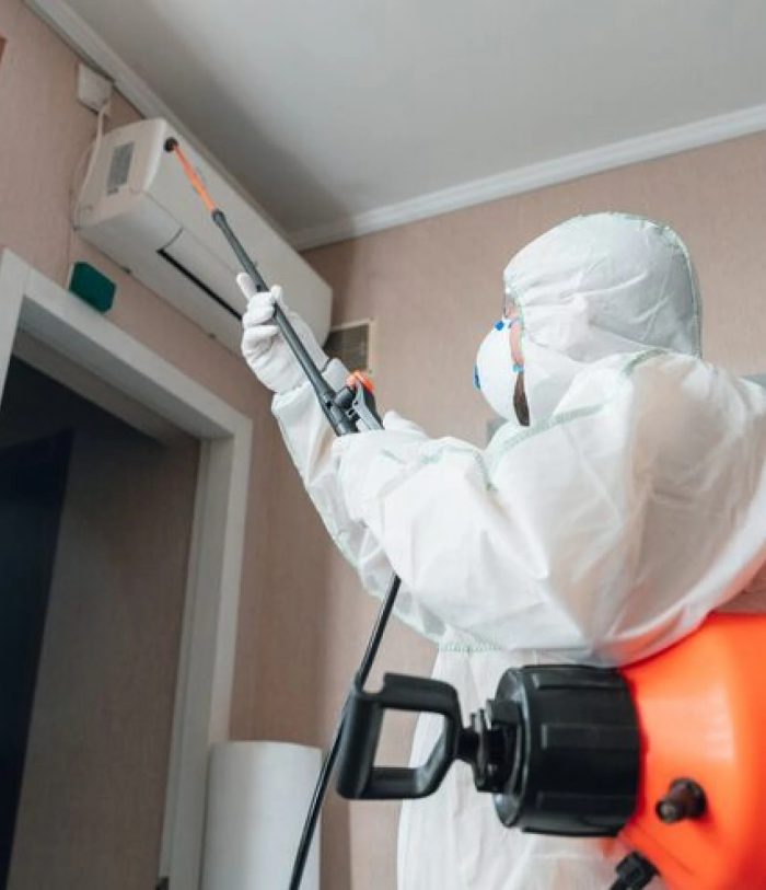 Mold Inspection Cincinnati
