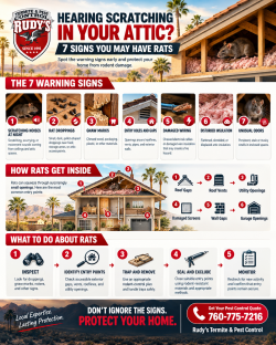 Home Pest Control Services: 7 Signs of Rats in Your Attic