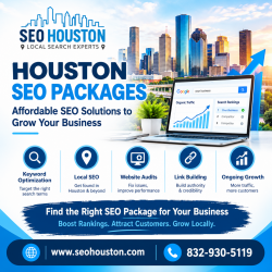 Houston SEO Packages for Business Growth