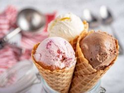 Established Bombay Creamery ice cream distributorship Regional Program