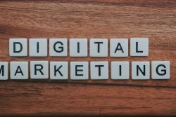 Best SEO Service in Jaipur: How Rewathi Innovation Pvt Ltd Helps Businesses Grow Online