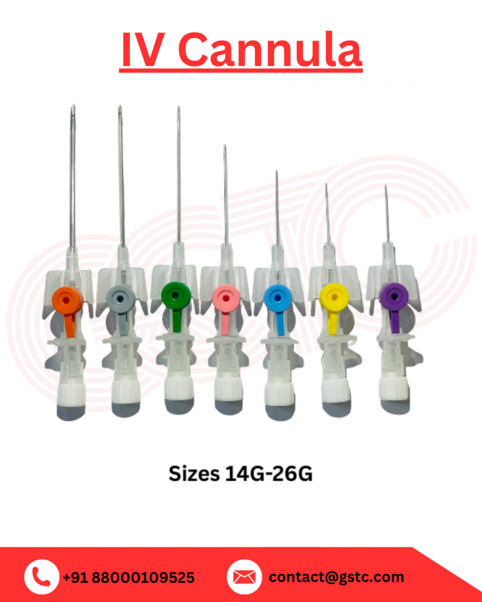 Best Quality IV Cannula Supplier from India