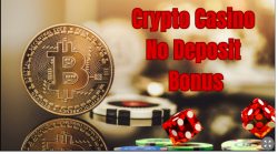 Best Crypto Casinos With Transparent Account and Verification Policies
