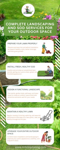 Improve Your Outdoor Space With Professional Sod Solutions