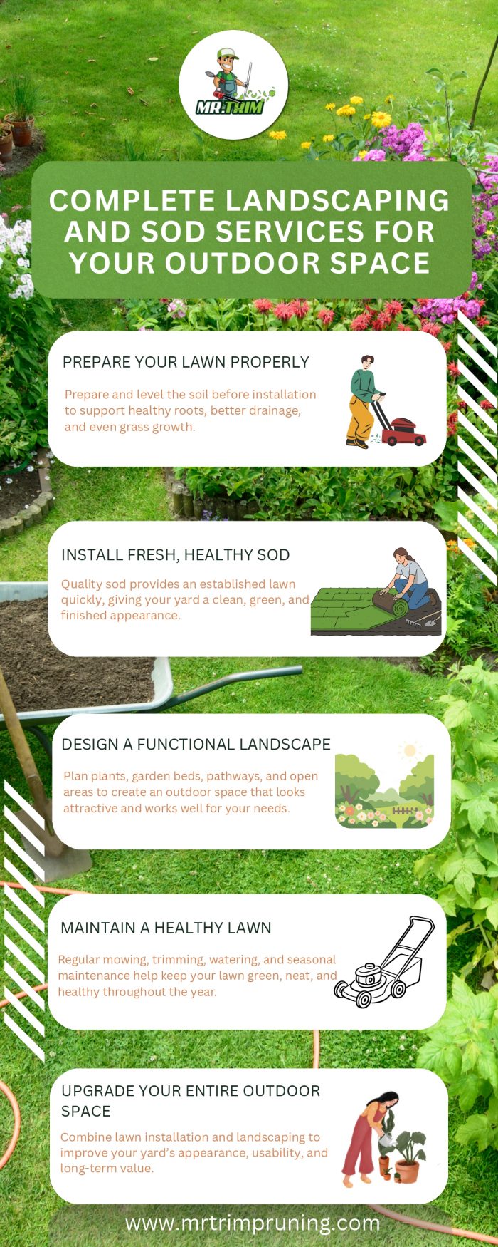 Improve Your Outdoor Space With Professional Sod Solutions