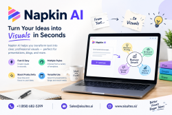 Napkin AI Explained: Turn Your Ideas into Stunning Visuals | Aisuites