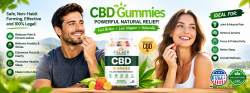 https://www.facebook.com/GoldenFountainFarmsGummiesCBD/