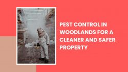 Pest Control in Woodlands for a Cleaner and Safer Property