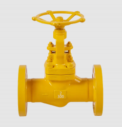 High Pressure Forged Steel Flanged Globe Valve