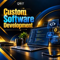 Qset Custom Software Development Services for Business Growth