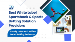 Best White Label Sportsbook Providers