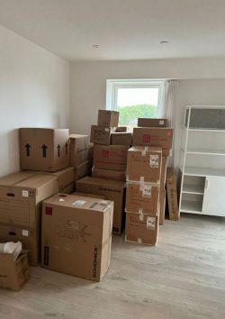ProMovers: Move Home with Less Stress, Careful Handling and a Plan You Can Trust