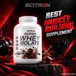 Best Muscle Building Supplement for Strength | Scitron