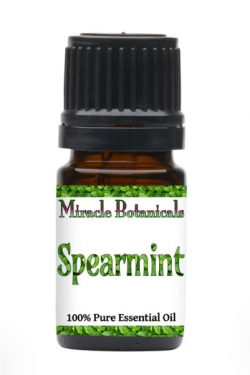 Spearmint Essential Oil – USA (Mentha Spicata)