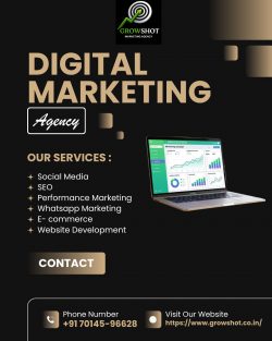 Best Digital Marketing Services in Bhilwara – GrowShot.