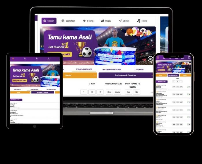 Sports Betting Software Developers