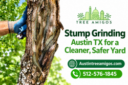 Stump Grinding Austin TX for a Cleaner, Safer Yard