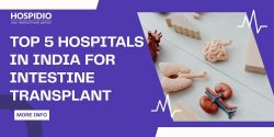 Top 5 Intestine Transplant Hospitals in India – Discover India’s Leading Centers | HOSPIDIO