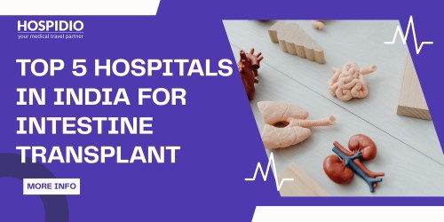 Top 5 Intestine Transplant Hospitals in India – Discover India’s Leading Centers | HOSPIDIO