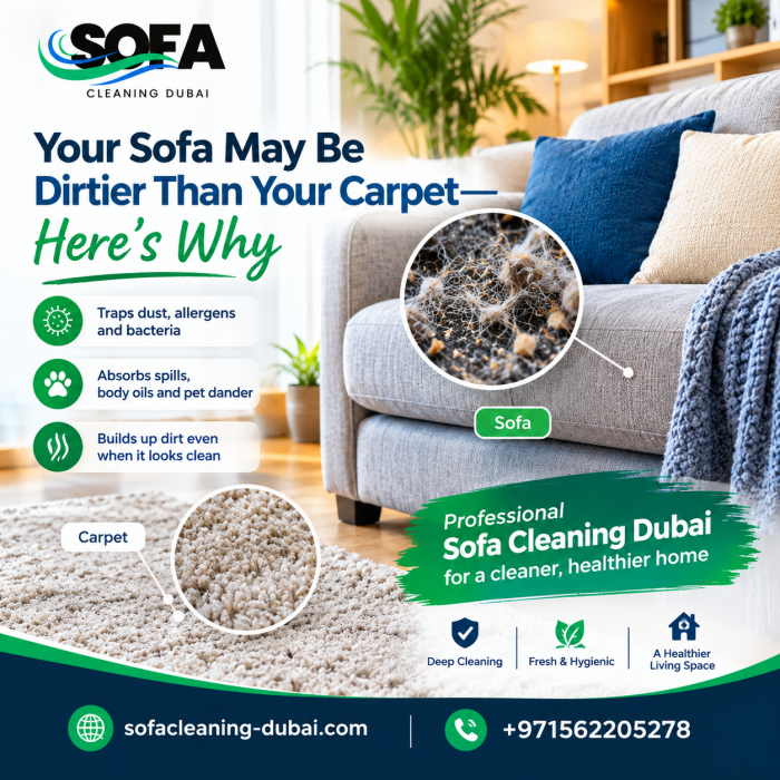 Think Your Carpet Is Dirty? Your Sofa Might Be Worse